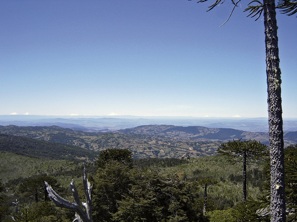 Ruta Patrimonial Nahuelbuta: Cordillera, Costa y Cultura