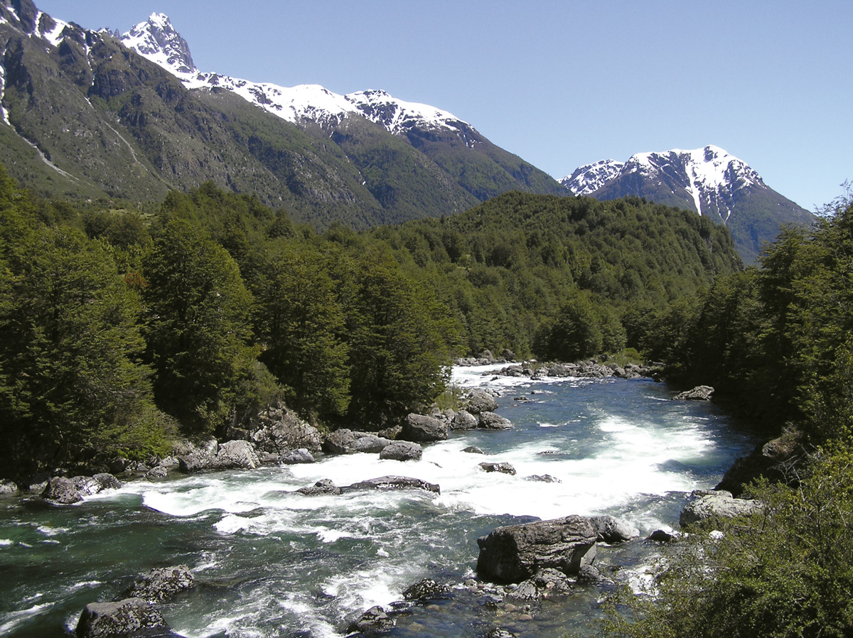 Lago Palena: Andes Patagónicos