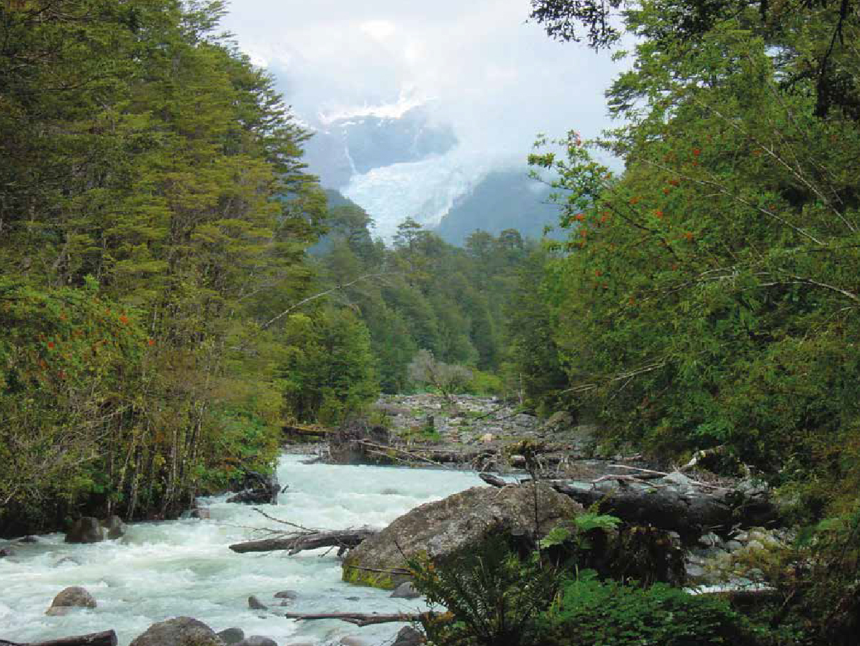 Río Ventisquero: Bien Nacional Protegido