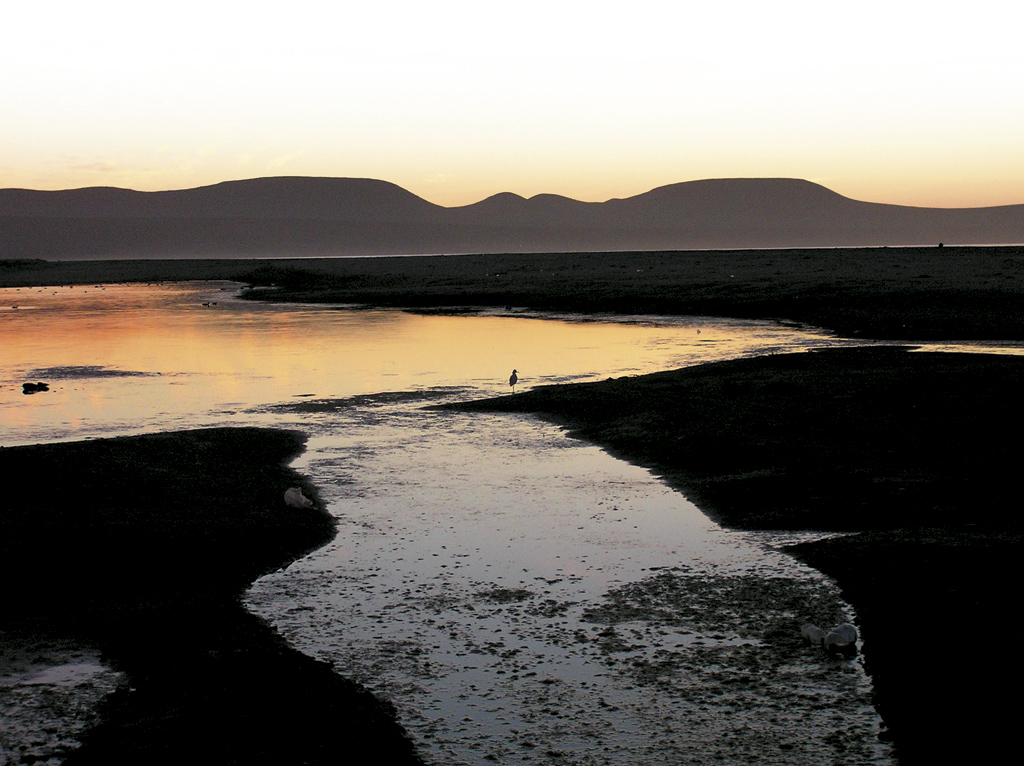 Humedales de Tongoy: Bien Nacional Protegido