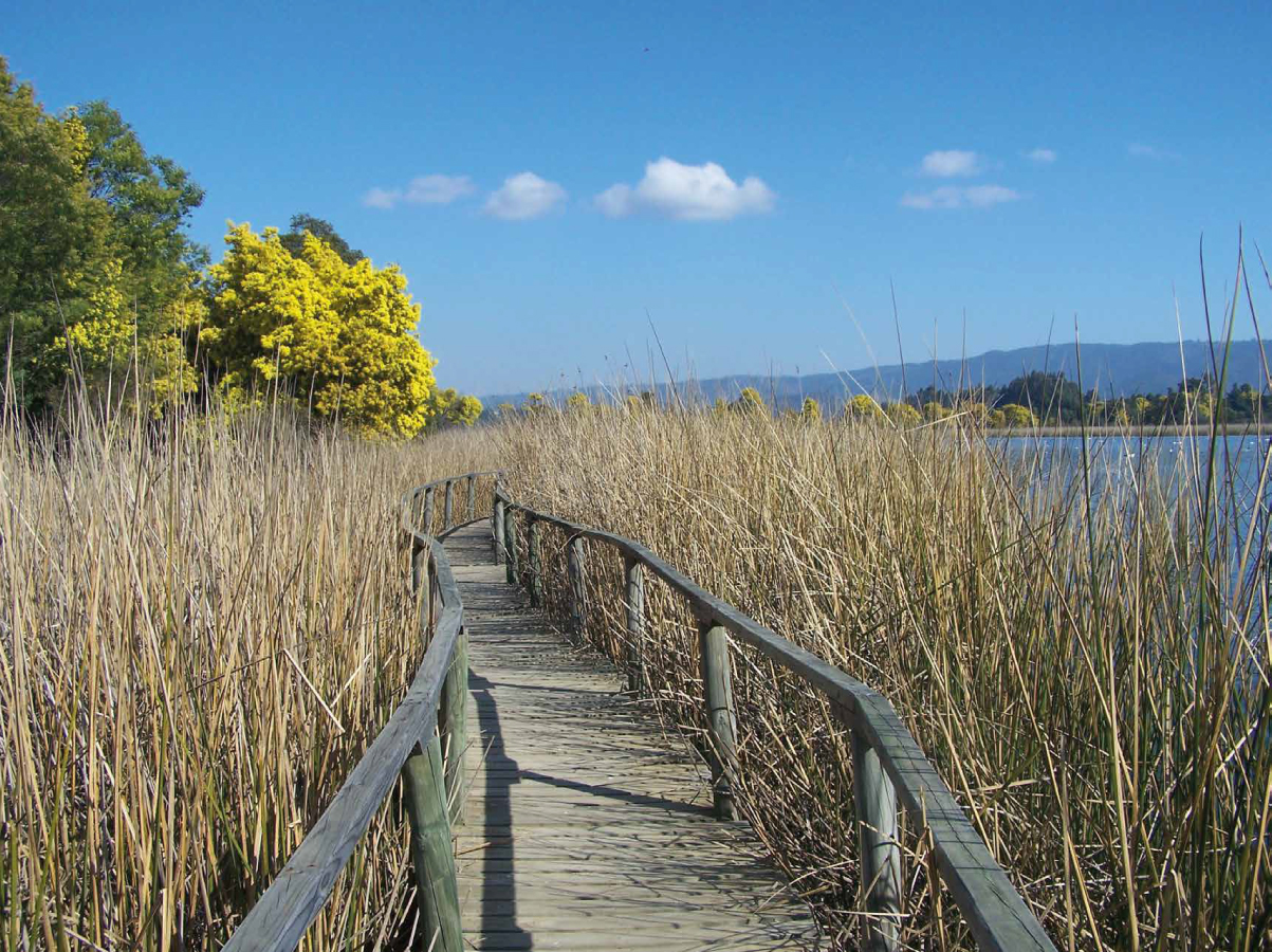 Ruta Patrimonial Humedales del Maule: Observatorio Natural