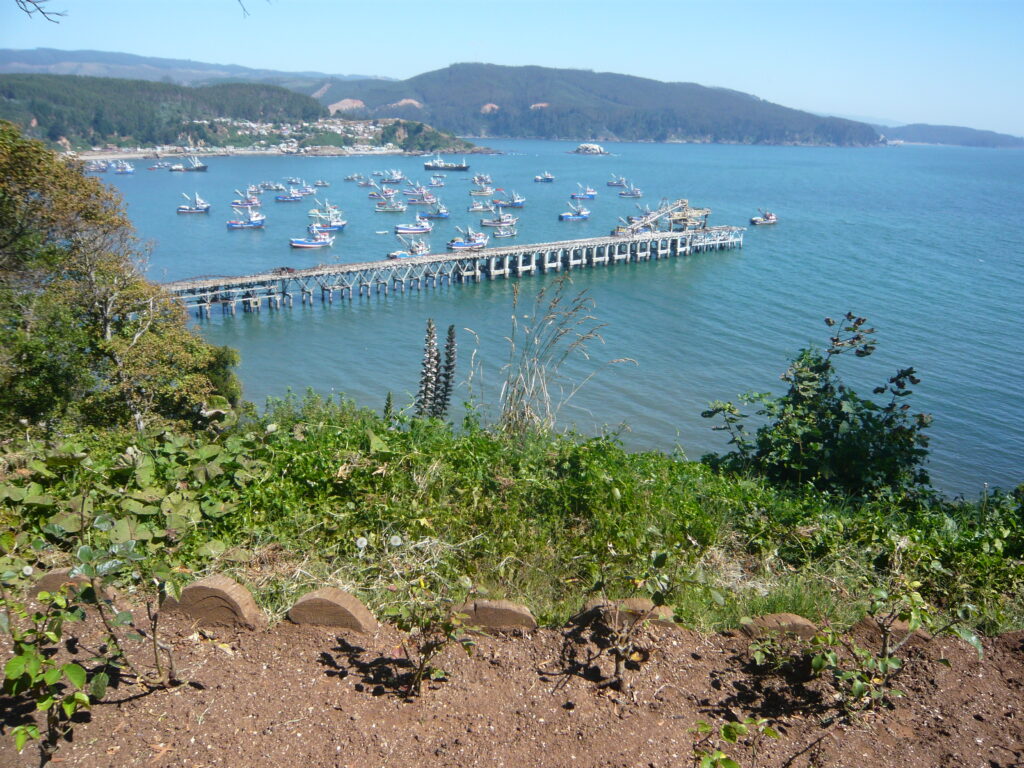 Adulto Mejor: Biobío