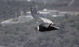 Captura de Pantalla 2023-04-21 a la(s) 15.02.31